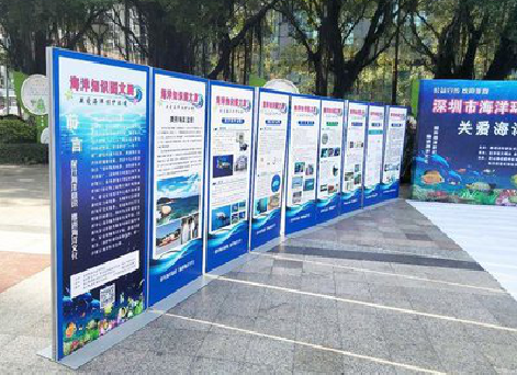 江津KT板的种类和知识。